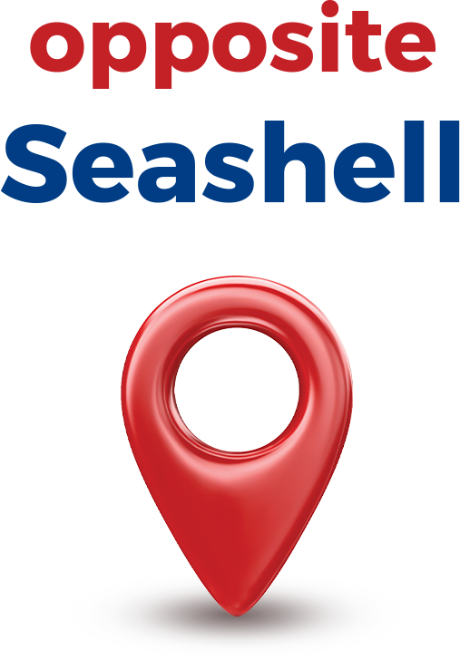 Seashell